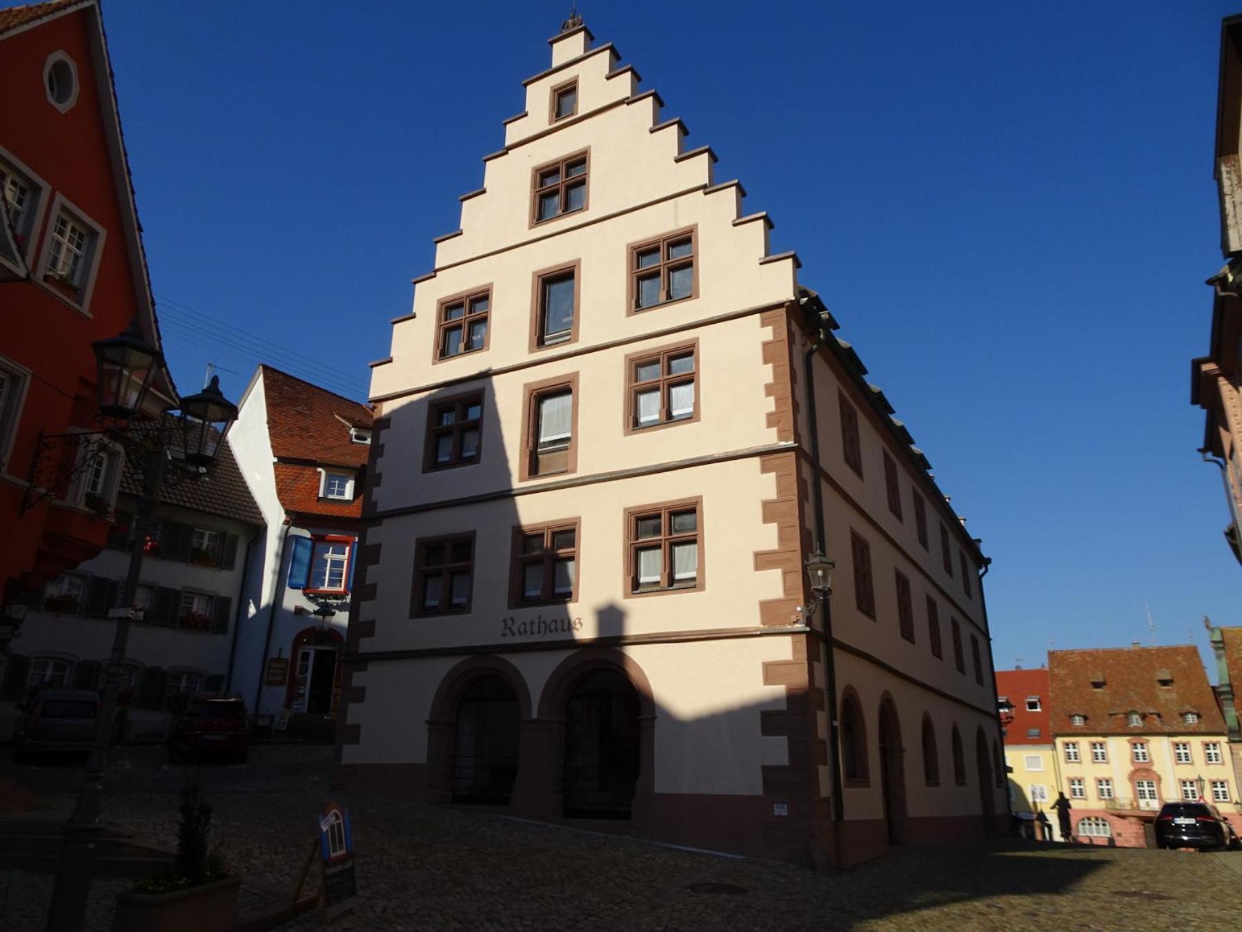 Apartment Schwaer Endingen am Kaiserstuhl Esterno foto